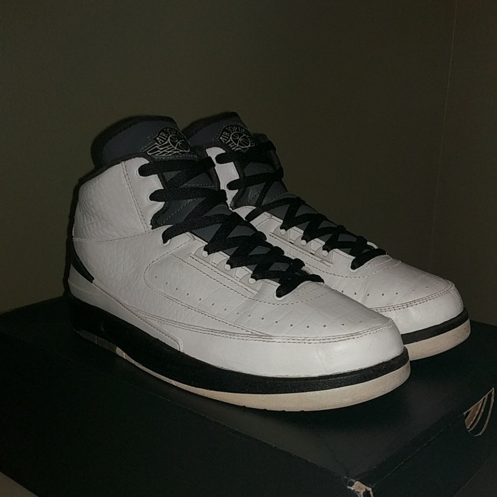 Air Jordan 2 "Wing It."